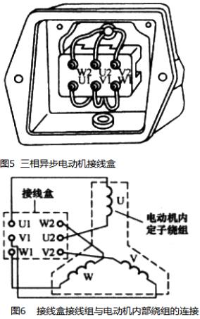 電動機原理與結(jié)構(gòu)圖,三相異步電動機