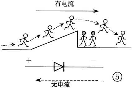 晶體二極管的識別